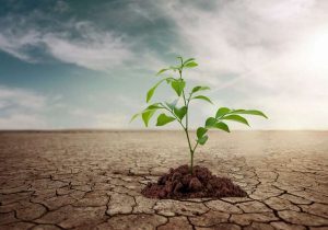 مدیریت بحران آب در کشاورزی نیازمند راهکارهای کلان و مشارکت همگانی است