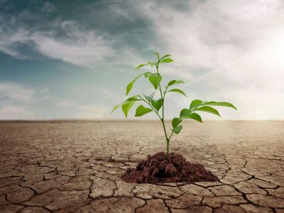 مدیریت بحران آب در کشاورزی نیازمند راهکارهای کلان و مشارکت همگانی است