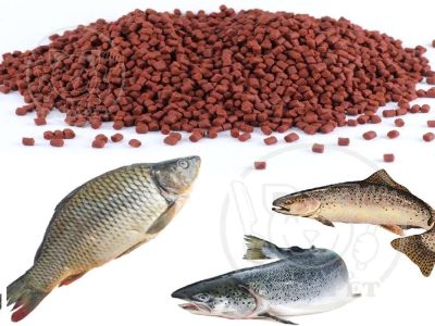 زمینه‌‌های همکاری شیلاتی ایران و ازبکستان بررسی شد