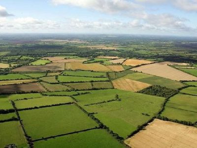 خرید و فروش اراضی جنگلی و ملی ممنوع است/ برخورد قضایی با تبلیغات سودجویان در فضای مجازی