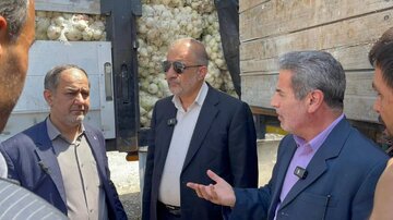 انتظارها از جهاد اما اختیار در دست سازمان برنامه است