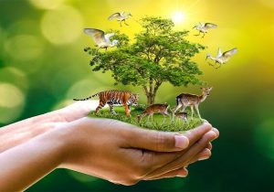 هیئت ایرانی از مجموعه گلخانه‌های تنوع زیستی آکادمی علوم چین بازدید کرد