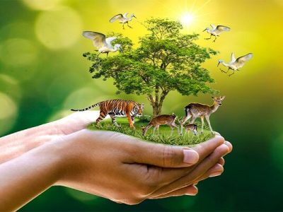 هیئت ایرانی از مجموعه گلخانه‌های تنوع زیستی آکادمی علوم چین بازدید کرد