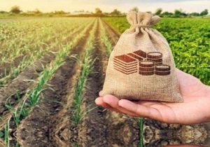 رفع مشکلات بخش زراعت با بهرهگیری از ظرفیت صندوقهای حمایت