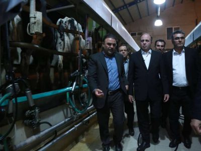 نوری: کشت و صنعت مغان سرمایه ملی است