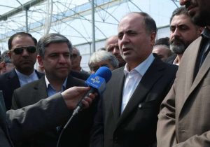 حدود ۴۰۰ میلیون دلار محصولات گلخانه‌ای در سال ١۴٠٣ صادر شد/ مغان قطب کشاورزی نوین ایران