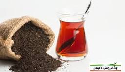 ۱۷ هزار تُن چای سنواتی برای کمپوست به مراکز تحقیقاتی منتقل شد