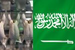 برآورد بازار مرغداری عربستان سعودی در سالهای ۲۰۲۴-۲۰۲۵ و ۲۰۳۰ میلادی