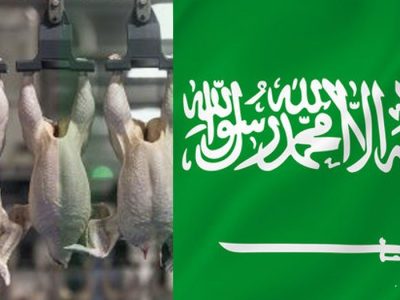 برآورد بازار مرغداری عربستان سعودی در سالهای ۲۰۲۴-۲۰۲۵ و ۲۰۳۰ میلادی