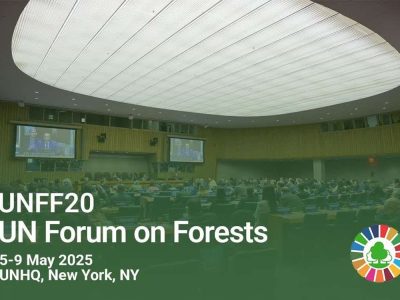 آغاز بکار بیستمین نشست سالانه مجمع بین‌الدول جنگل سازمان ملل متحد از ۱۵ اردیبهشت