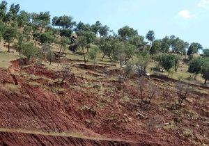 ۹۰ درصد از اراضی کشاورزی رفع تداخل شد