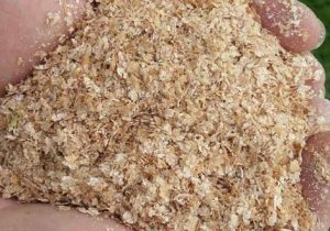 سبوس گندم تا ابلاغ رسمی می بایستی به روال گذشته توزیع گردد