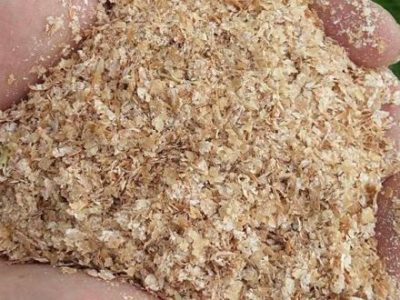 الزام وزارت جهاد به عرضه سبوس ماه به نرخ گذشته