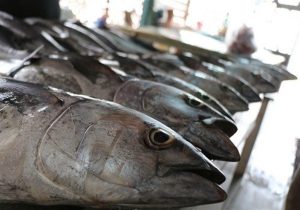 ثبت سفارش واردات ۴ محصول کشاورزی از هفته آینده آغاز میشود