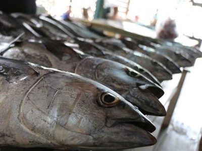 ثبت سفارش واردات ۴ محصول کشاورزی از هفته آینده آغاز میشود