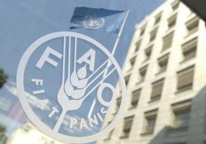 حق رای ایران در فائو پس از ۱۵ سال احیا شد