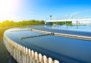 کاهش تلفات آبزیان با فناوری نانو حباب