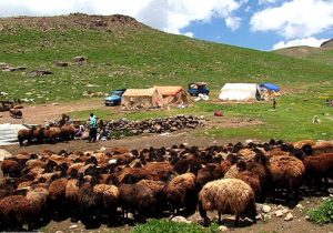 ایران رتبه چهارم جهان در نظام‌های میراثی کشاورزی جهانی است