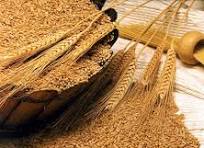 کارخانه‌داران، سبوس سفارش اردیبهشت را تحویل نمی‌دهند