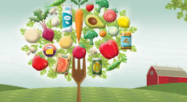 جزئیات پایش سلامت محصولات کشاورزی از مزرعه تا سفره