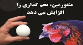 متفورمین، تخم‌گذاری مرغ‌ها را افزایش می‌دهد