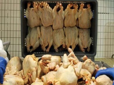 سهمیه ۵ هزارتن صادرات مرغ به اتحادیه و زنجیره‌های تولیدی