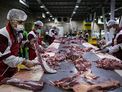 کنترل و پیشگیری از بیماری‌های ویروسی در صنعت دامپروری