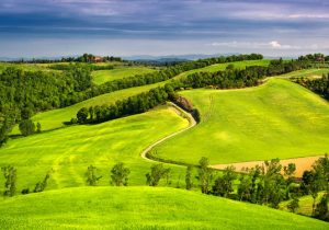 آموزش، ترویج و مشارکت مردمی راهکار مدیریت پایدار مراتع است