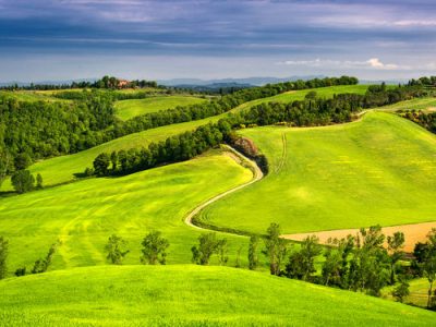 آموزش، ترویج و مشارکت مردمی راهکار مدیریت پایدار مراتع است