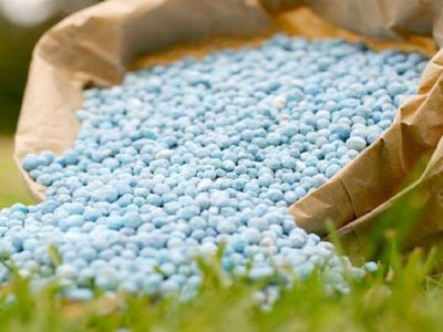 کشت پاییزه امسال با کمبود کود روبه‌رو است