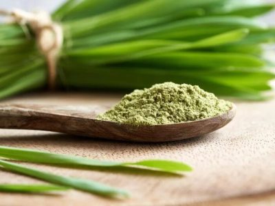 اثبات خواص افزایش طول عمر و ضد پیری جوانه گندم