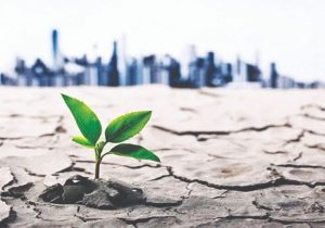 سه‌گانه نجات منابع آبی؛ آمایش صنعتی، بازار محلی آب و کشاورزی سازگار