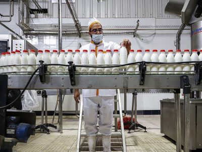 اصفهان به‌اندازه ۱۶ استان کشور شیر تولید می‌کند