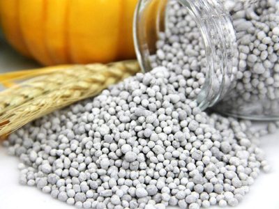 جنگ تحمیلی اسرائیل علیه ایران و تأثیر آن بر زنجیره غذا جهان