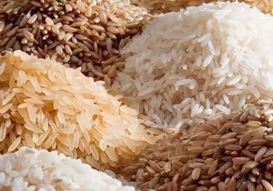 ناترازی در بازار برنج؛ از انحصار نوع ایرانی تا گم شدن نوع خارجی