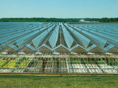 حرکت به سوی راهبرد «هر شهرستان یک شهرک کشاورزی»