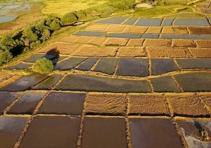 مصرف چالش برانگیز آب در بخش خانگی نیست!