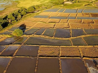 مصرف چالش برانگیز آب در بخش خانگی نیست!