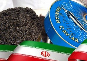 ۷ تن خاویار ایران به ۳۳ کشور صادر شد