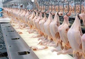 هر کیلو گرم گوشت مرغ به ۱۲۵ هزار تومان رسید