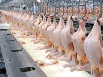 هر کیلو گرم گوشت مرغ به ۱۲۵ هزار تومان رسید