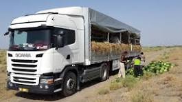 اصلاح و تقویت سیستم حمل و نقل بخش کشاورزی ضروری است