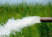 حدود ۲۰ درصد اهداف چشم‌انداز ۲۰ ساله کشاورزی محقق شد