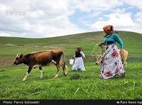 دامپروری عشایر مصداق پدافند غیرعامل در تامین امنیت غذایی است