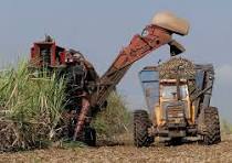 ماشین‌آلات خسته را بازنشسته کنیم