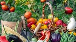 خرید حمایتی و توافقی محصولات کشاورزی ادامه دارد؛ لزوم سودآوری برای کشاورز