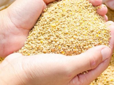 بازار انحصاری، برنج ایرانی را گران کرد