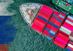 آیا روسیه می تواند به صادرات یک میلیون تنی گوشت و مرغ در سال ۲۰۲۵ دست یابد؟