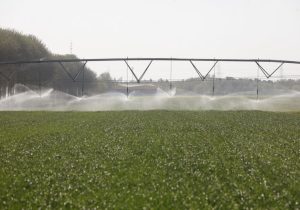 وزارت نیرو باید پاسخگوی ایجاد چاه های غیرمجاز باشد