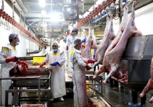 ثبت سفارش گوشت قرمز امروز آغاز می‌شود